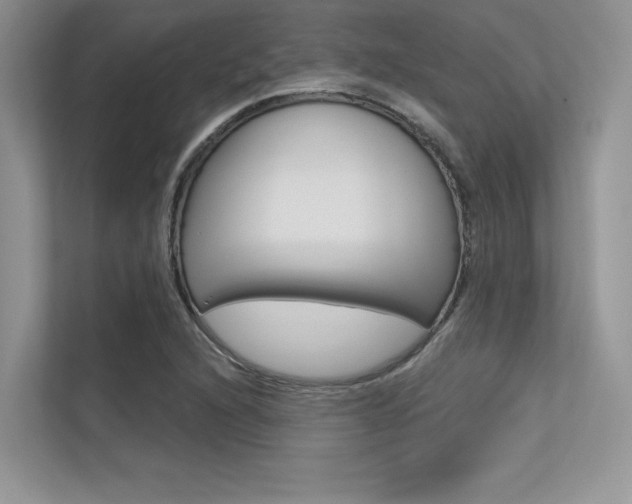 X0000113321216200909140940