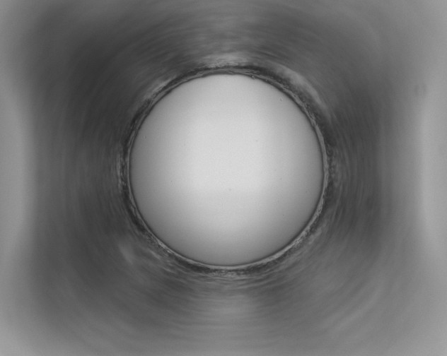 X0000113321217200909140940