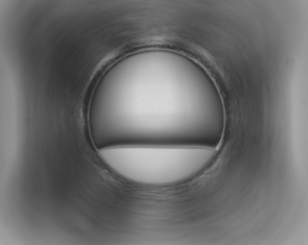 X0000113321218200909140940