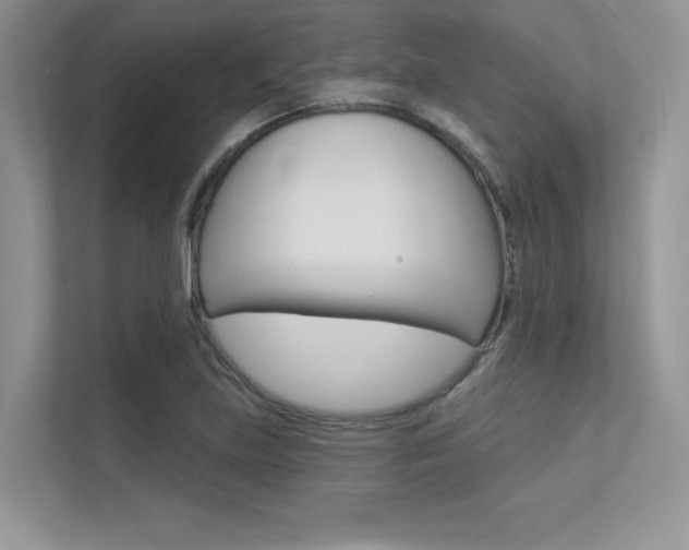 X0000113321219200909140940