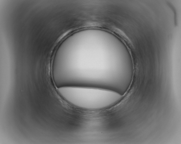 X0000113321220200909140940
