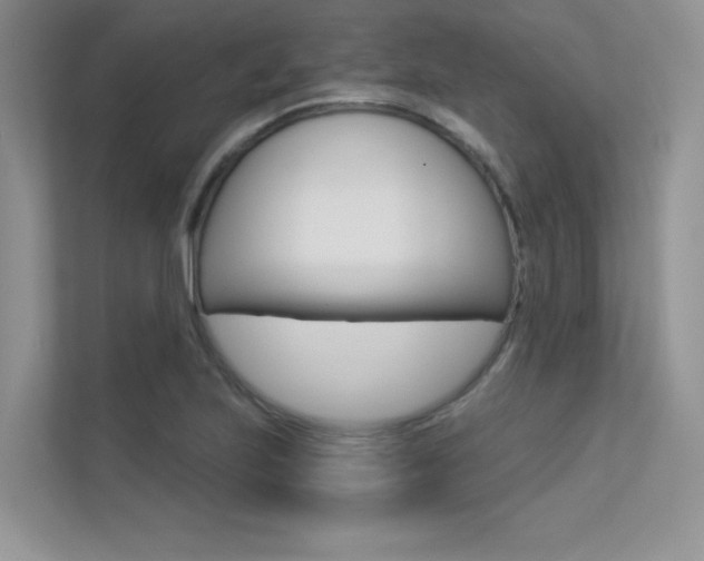 X0000113321223200909140940