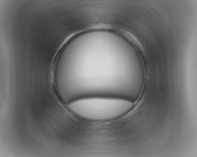 X0000113321228200909140940