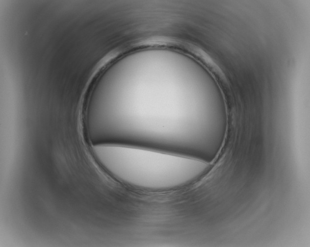 X0000113321229200909140940