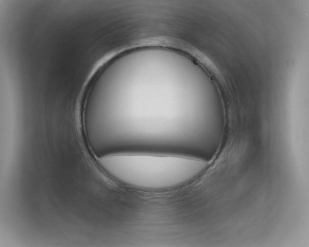 X0000113321230200909140940
