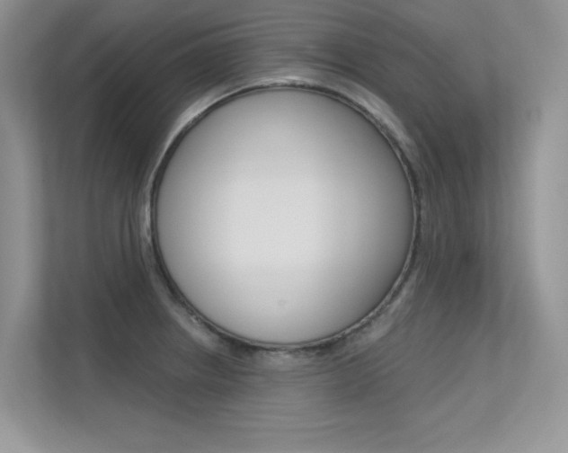 X0000113321234200909140940