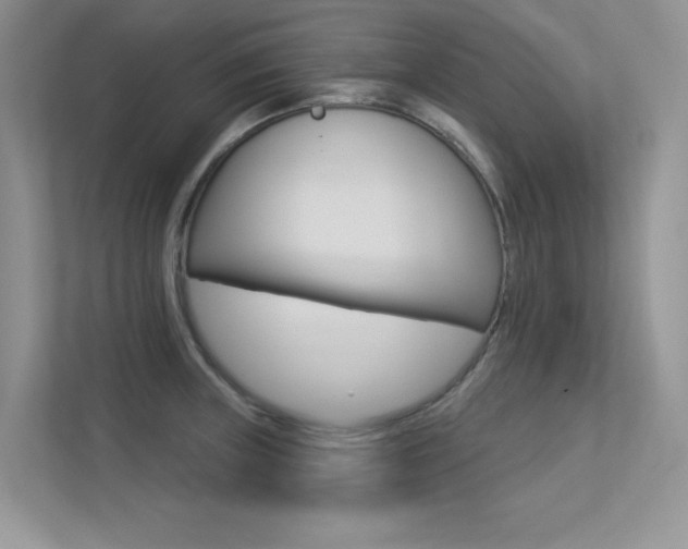 X0000113321235200909140940