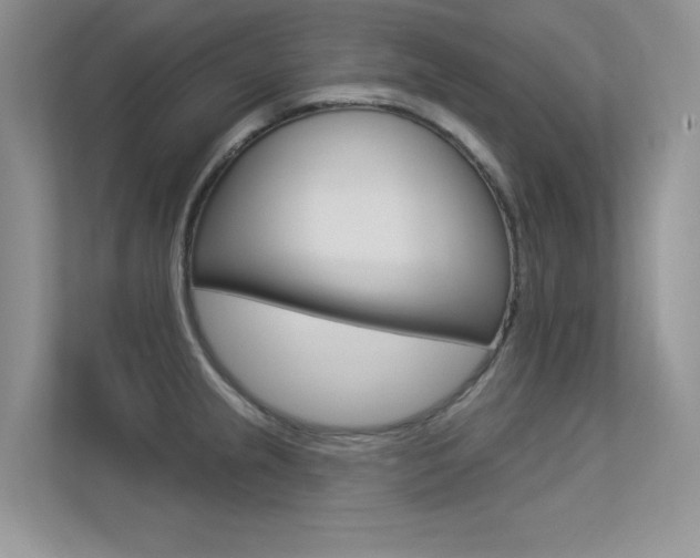 X0000113321237200909140940