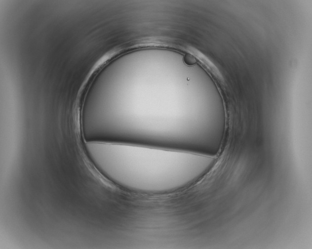 X0000113321238200909140940