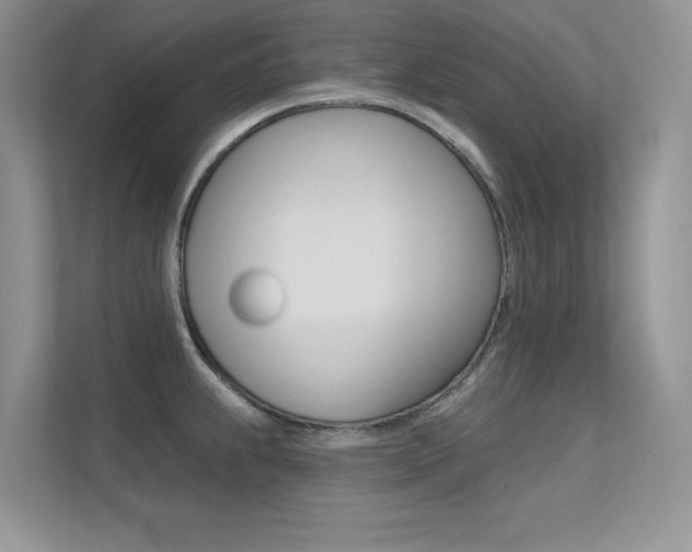 X0000113321239200909140940