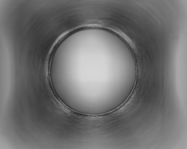 X0000113321240200909140940
