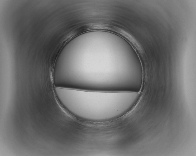 X0000113321241200909140940