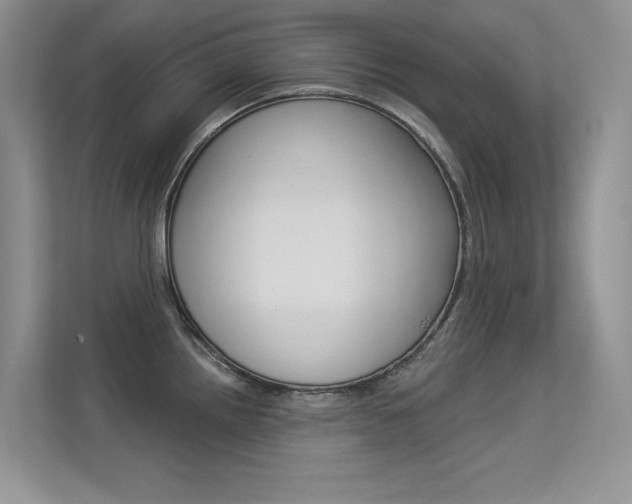 X0000113321242200909140940