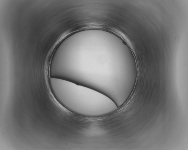 X0000113321243200909140940