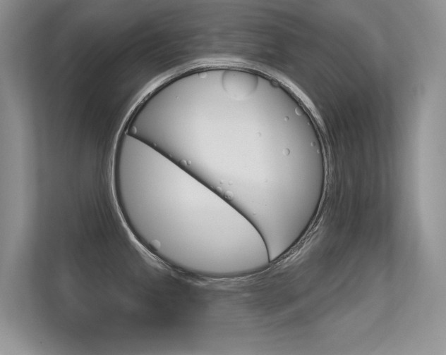 X0000113321245200909140940