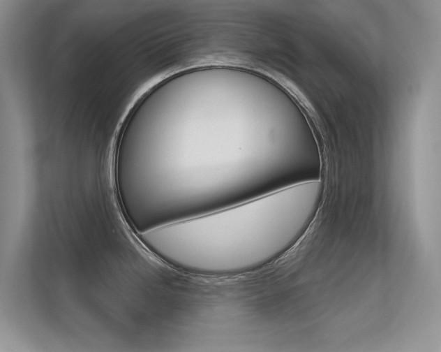 X0000113321246200909140940