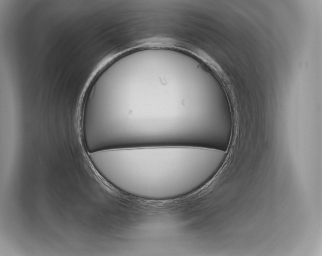 X0000113321248200909140940