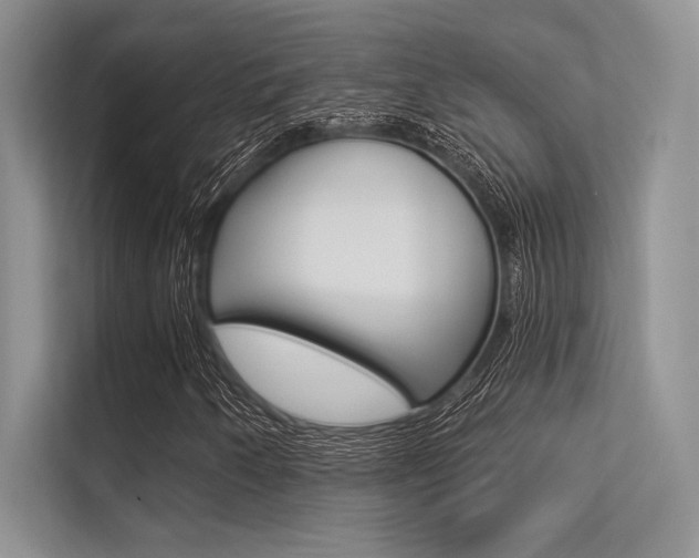X0000113321250200909140940