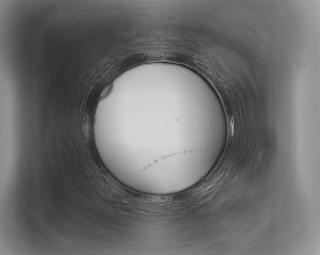 X0000113321251200909140940