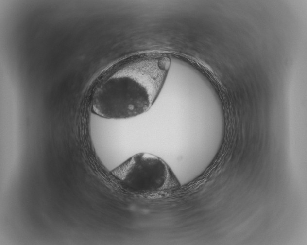 X0000113321255200909140939