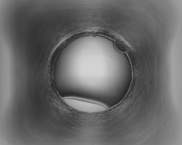X0000113321256200909140939
