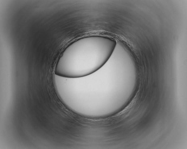X0000113321257200909140939
