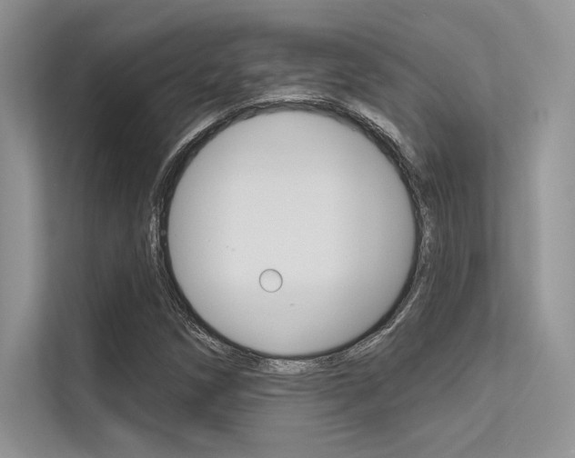X0000113321258200909140939