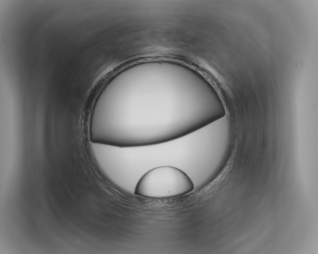 X0000113321259200909140939