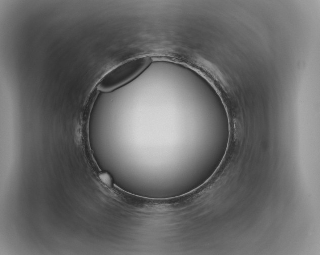 X0000113321260200909140939