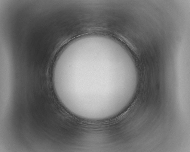 X0000113321261200909140939