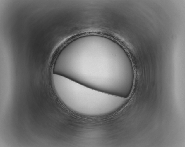 X0000113321262200909140939