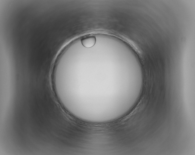 X0000113321264200909140939