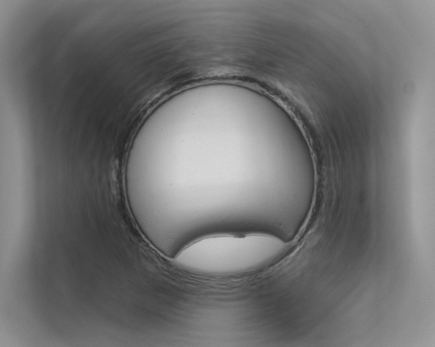 X0000113321265200909140939