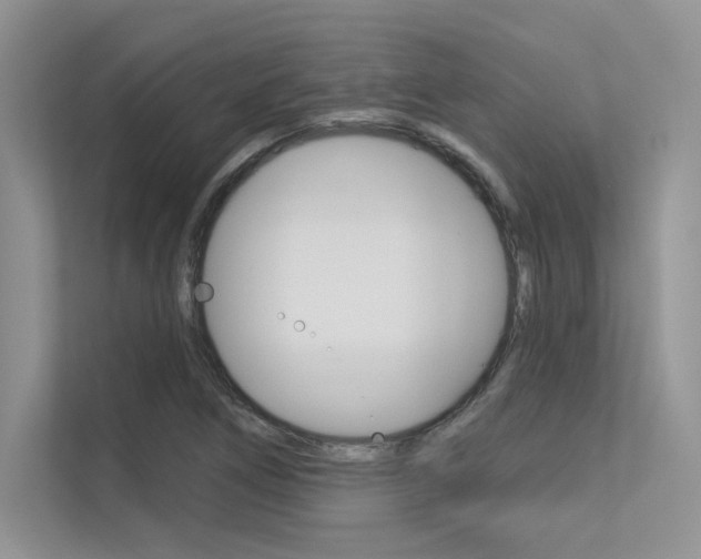 X0000113321266200909140939