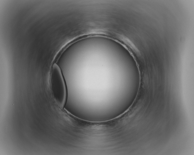 X0000113321268200909140939