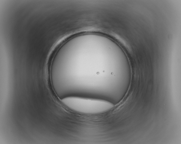 X0000113321270200909140939