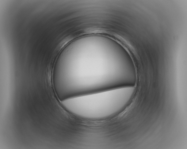 X0000113321273200909140939
