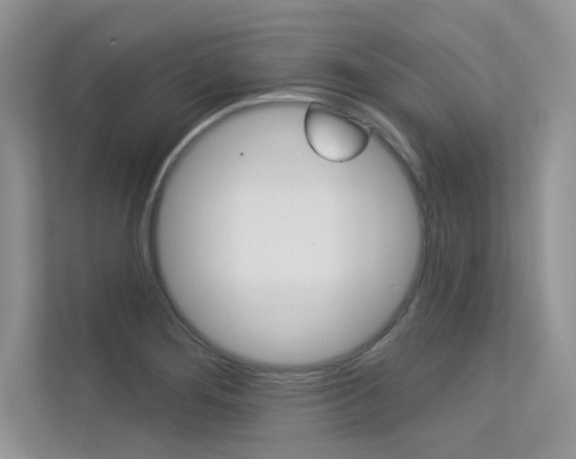 X0000113321276200909140939