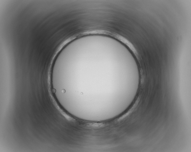 X0000113321282200909140939