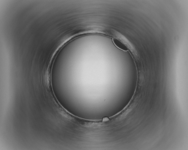X0000113321284200909140939