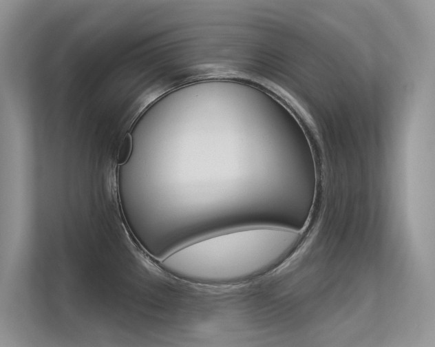 X0000113321289200909140939