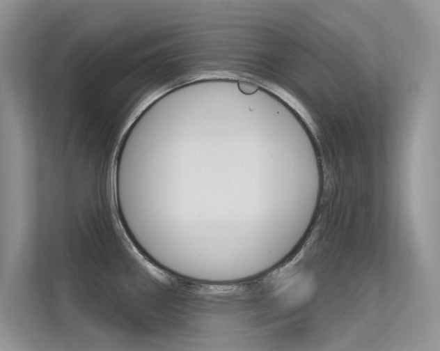 X0000113321290200909140939