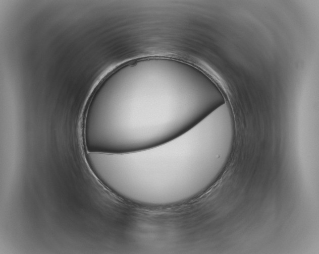 X0000113321291200909140939