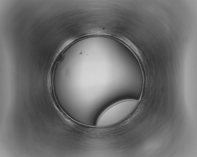 X0000113321293200909140939
