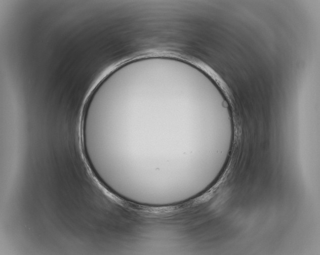 X0000113321294200909140939