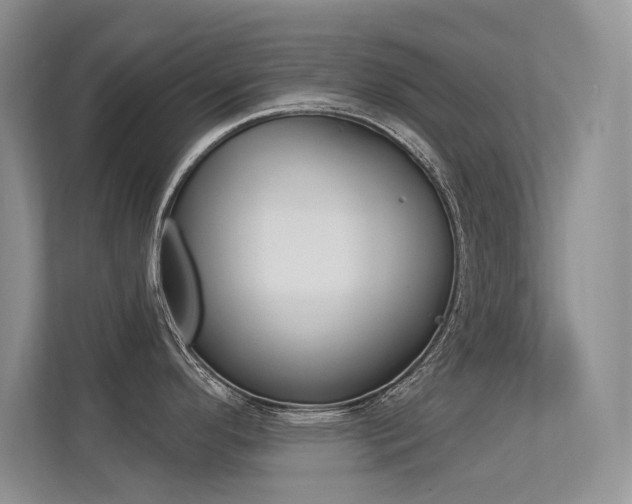 X0000113321296200909140939
