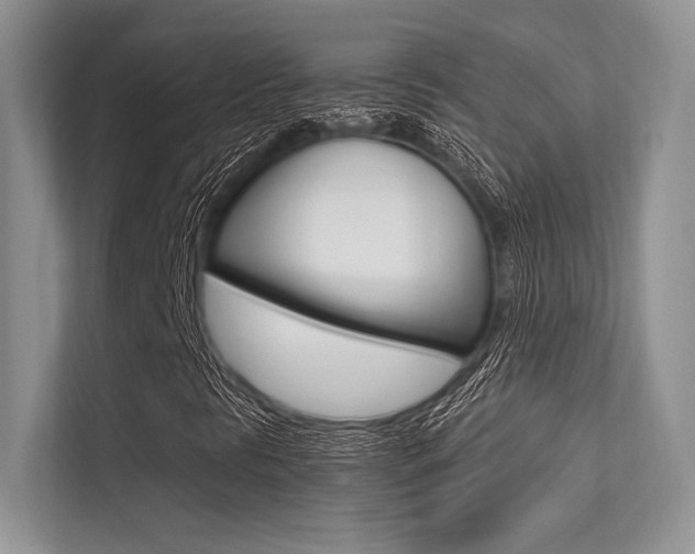 X0000113321297200909140938