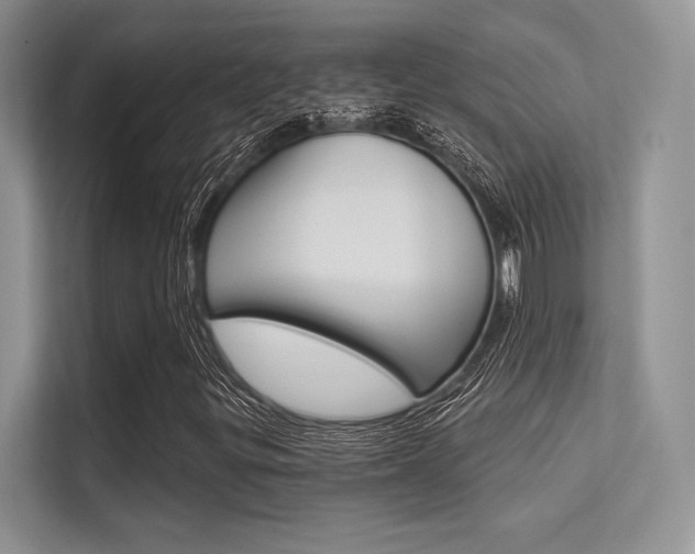 X0000113321299200909140938