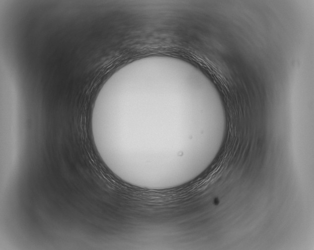 X0000113321300200909140938