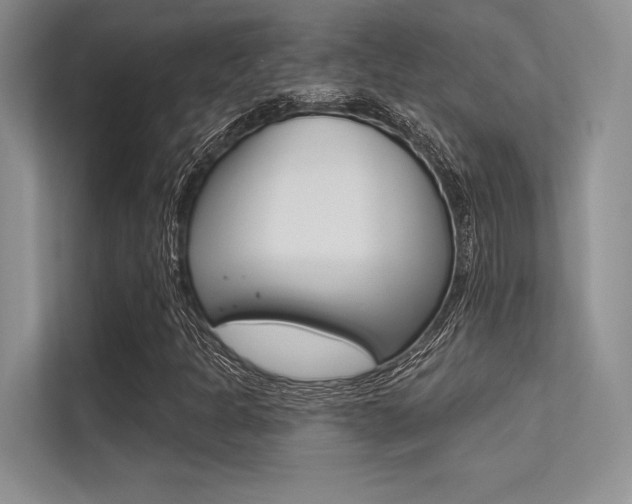 X0000113321301200909140938